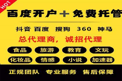 SEO关键词优化：某品牌逆袭的案例解析