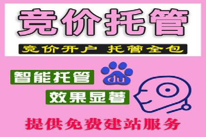 百度广告竞价案例：精准投放，实现广告效果最大化